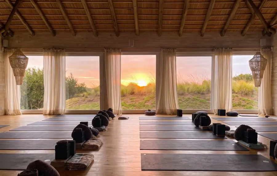 The Shack Wellness